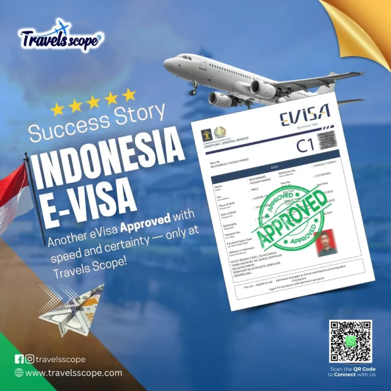 visa approal success