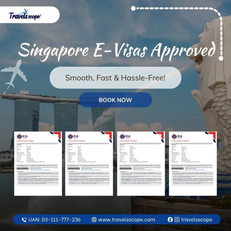 visa approval success