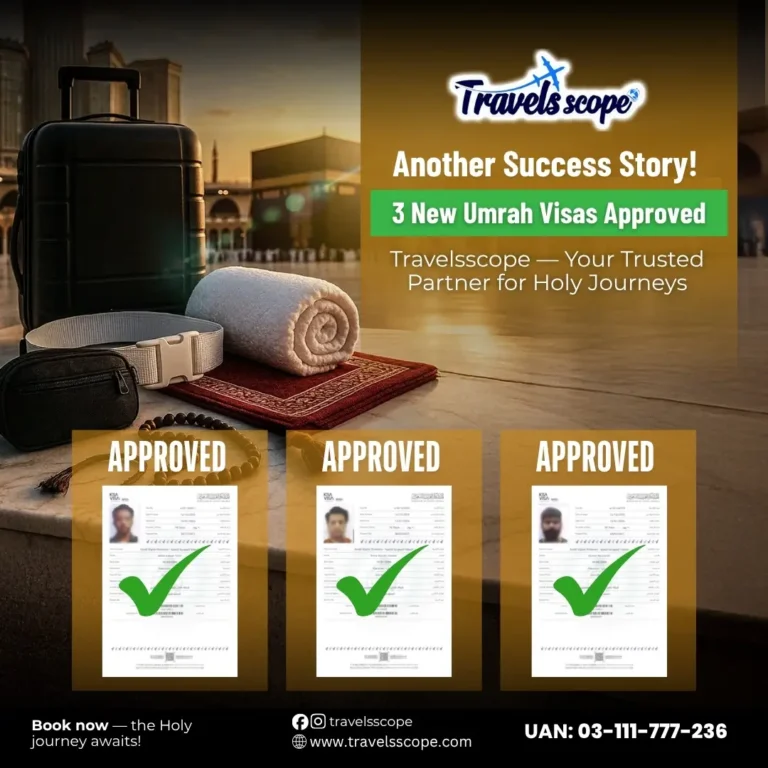 visa approval success