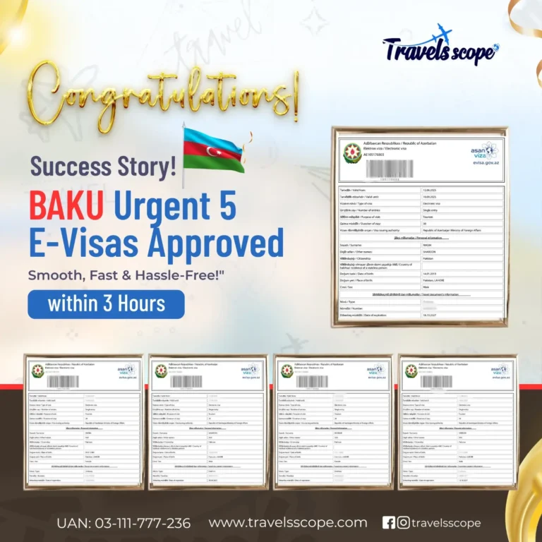 visa approval success