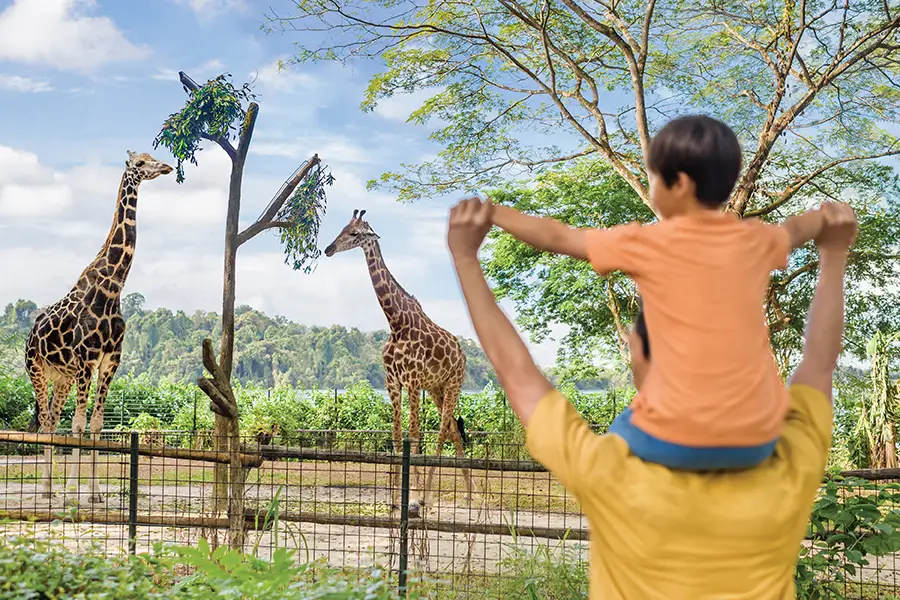 Singapore Zoo